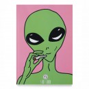 Щоденник “Smoked UFO”, купити Щоденник “Smoked UFO”